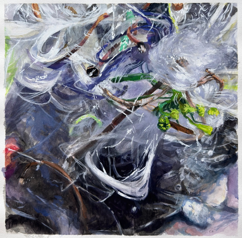 Study for Seeding Storm